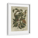 Estampado Deshayes Trees Ii - Vision Studio | Cuadro decorativo de Canvas Lab