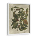Estampado Deshayes Trees Ii - Vision Studio | Cuadro decorativo de Canvas Lab