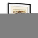 Libélulas Caprichosas I - Vision Studio | Cuadro decorativo de Canvas Lab