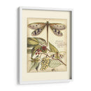 Libélulas Caprichosas I - Vision Studio | Cuadro decorativo de Canvas Lab