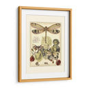 Libélulas Caprichosas Ii - Vision Studio | Cuadro decorativo de Canvas Lab