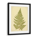 Lowes Fern I I - E.J. Lowe | Cuadro decorativo de Canvas Lab