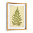 Lowes Fern I I - E.J. Lowe | Cuadro decorativo de Canvas Lab