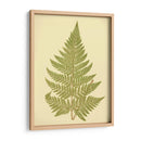 Lowes Fern I I - E.J. Lowe | Cuadro decorativo de Canvas Lab