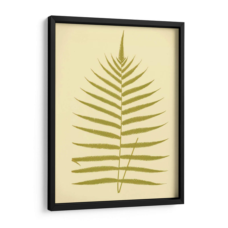 Lowes Fern Iv - E.J. Lowe | Cuadro decorativo de Canvas Lab