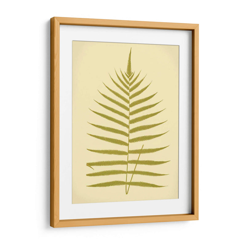 Lowes Fern Iv - E.J. Lowe | Cuadro decorativo de Canvas Lab