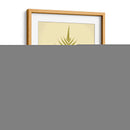 Lowes Fern Iv - E.J. Lowe | Cuadro decorativo de Canvas Lab