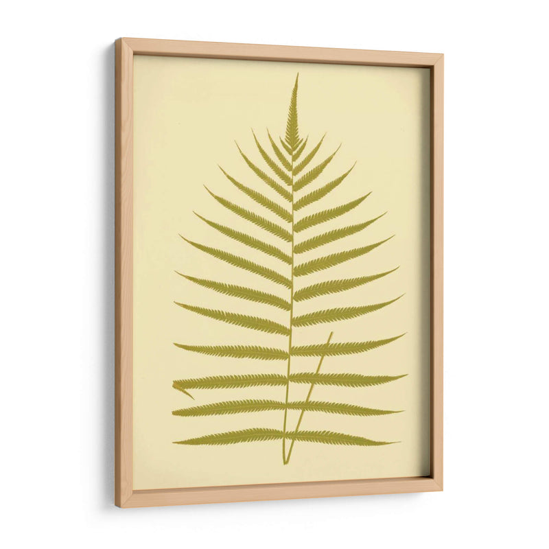 Lowes Fern Iv - E.J. Lowe | Cuadro decorativo de Canvas Lab