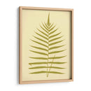 Lowes Fern Iv - E.J. Lowe | Cuadro decorativo de Canvas Lab