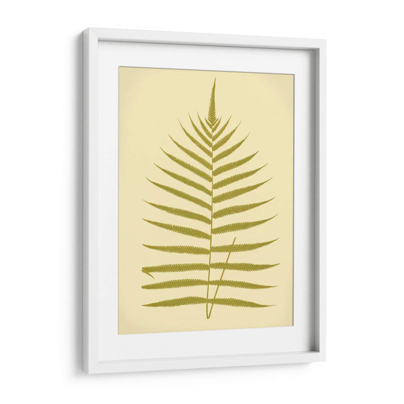 Lowes Fern Iv - E.J. Lowe | Cuadro decorativo de Canvas Lab