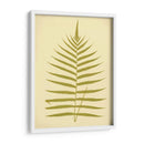 Lowes Fern Iv - E.J. Lowe | Cuadro decorativo de Canvas Lab
