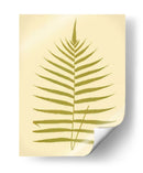 Lowes Fern Iv - E.J. Lowe | Cuadro decorativo de Canvas Lab