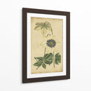 Curtis Florece En Blanco I | Cuadro decorativo de Canvas Lab