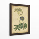 Curtis Florece En Blanco I | Cuadro decorativo de Canvas Lab
