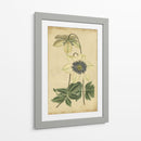 Curtis Florece En Blanco I | Cuadro decorativo de Canvas Lab