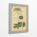 Curtis Florece En Blanco I | Cuadro decorativo de Canvas Lab