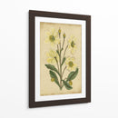 Curtis Blooms En White Ii | Cuadro decorativo de Canvas Lab