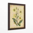 Curtis Blooms En White Ii | Cuadro decorativo de Canvas Lab