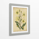 Curtis Blooms En White Ii | Cuadro decorativo de Canvas Lab
