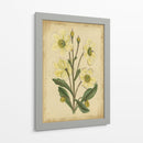 Curtis Blooms En White Ii | Cuadro decorativo de Canvas Lab