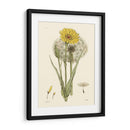 Antiguo Placa Floral Vi - Vision Studio | Cuadro decorativo de Canvas Lab