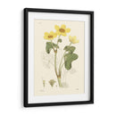 Placa Floral Antigua Vii - Vision Studio | Cuadro decorativo de Canvas Lab