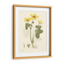 Placa Floral Antigua Vii - Vision Studio | Cuadro decorativo de Canvas Lab