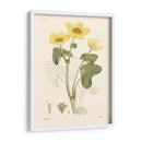 Placa Floral Antigua Vii - Vision Studio | Cuadro decorativo de Canvas Lab