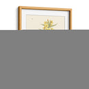 Placa Floral Antigua Viii - Vision Studio | Cuadro decorativo de Canvas Lab