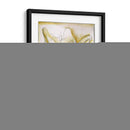 Belleza Fluida Ii - Jennifer Goldberger | Cuadro decorativo de Canvas Lab