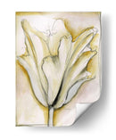 Belleza Fluida Ii - Jennifer Goldberger | Cuadro decorativo de Canvas Lab