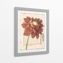 Puerta De La Dalia - Megan Meagher | Cuadro decorativo de Canvas Lab
