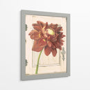 Puerta De La Dalia - Megan Meagher | Cuadro decorativo de Canvas Lab