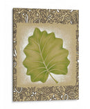 Hoja De Palma Exótica I - Vision Studio | Cuadro decorativo de Canvas Lab