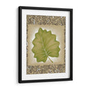 Hoja De Palma Exótica I - Vision Studio | Cuadro decorativo de Canvas Lab