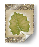 Hoja De Palma Exótica I - Vision Studio | Cuadro decorativo de Canvas Lab