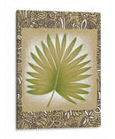 Hoja De Palma Exótica Ii - Vision Studio | Cuadro decorativo de Canvas Lab
