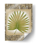 Hoja De Palma Exótica Ii - Vision Studio | Cuadro decorativo de Canvas Lab