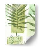 Impresiones De Hojas Iii - Vision Studio | Cuadro decorativo de Canvas Lab