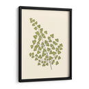 Woodland Ferns Ii - E. J. Lowe | Cuadro decorativo de Canvas Lab