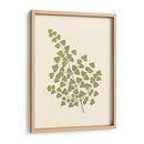 Woodland Ferns Ii - E. J. Lowe | Cuadro decorativo de Canvas Lab