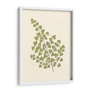 Woodland Ferns Ii - E. J. Lowe | Cuadro decorativo de Canvas Lab