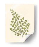 Woodland Ferns Ii - E. J. Lowe | Cuadro decorativo de Canvas Lab