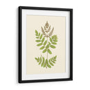 Woodland Ferns Vii - E. J. Lowe | Cuadro decorativo de Canvas Lab