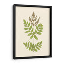 Woodland Ferns Vii - E. J. Lowe | Cuadro decorativo de Canvas Lab