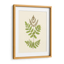 Woodland Ferns Vii - E. J. Lowe | Cuadro decorativo de Canvas Lab