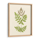 Woodland Ferns Vii - E. J. Lowe | Cuadro decorativo de Canvas Lab