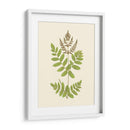 Woodland Ferns Vii - E. J. Lowe | Cuadro decorativo de Canvas Lab
