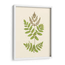 Woodland Ferns Vii - E. J. Lowe | Cuadro decorativo de Canvas Lab