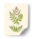 Woodland Ferns Vii - E. J. Lowe | Cuadro decorativo de Canvas Lab